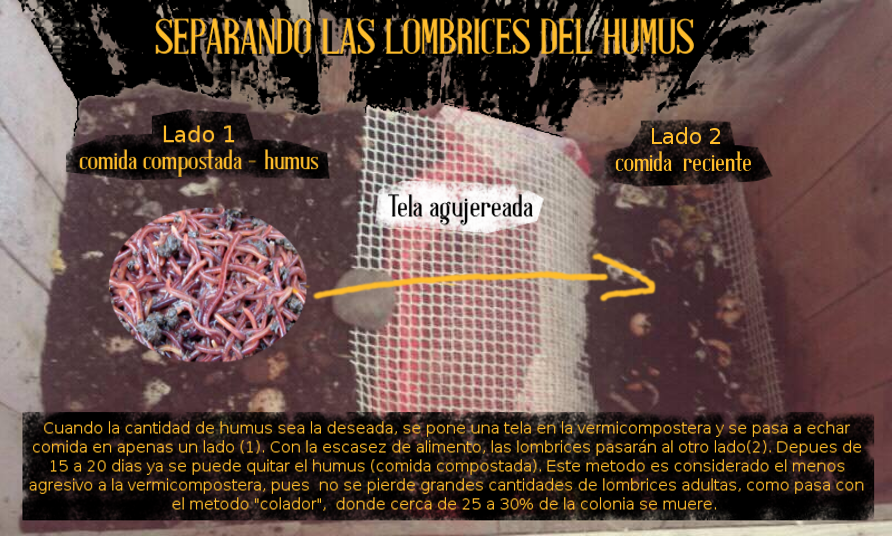 Vermicospostera.png